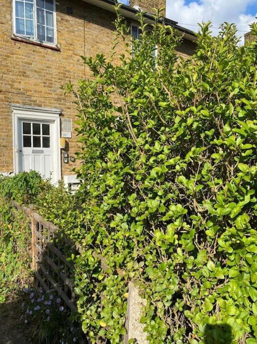לונדון One Bedroom Putney Village Flat מראה חיצוני תמונה